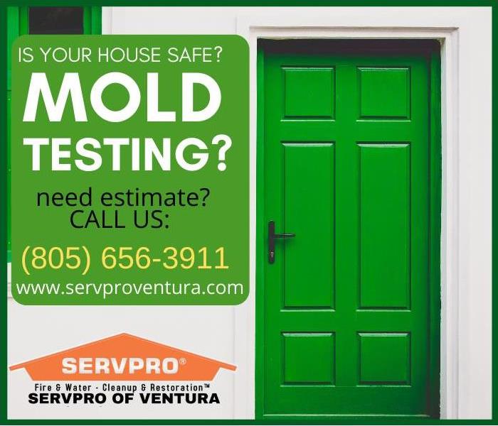 Mold testing Ventura, California - image of green door