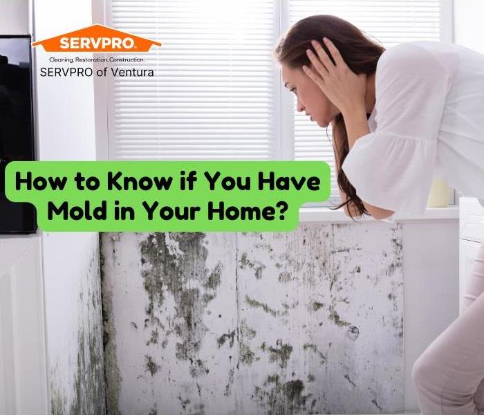 a young women looking at the mold on wall