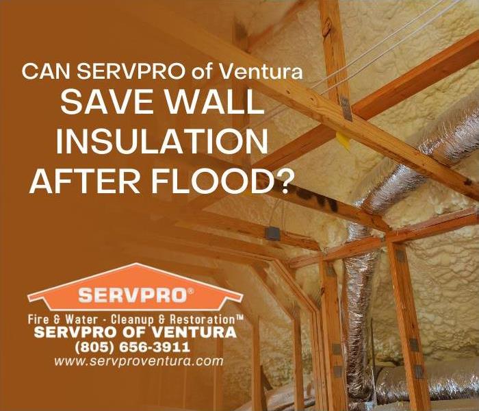 Wall Insulation after Flood in Ventura California