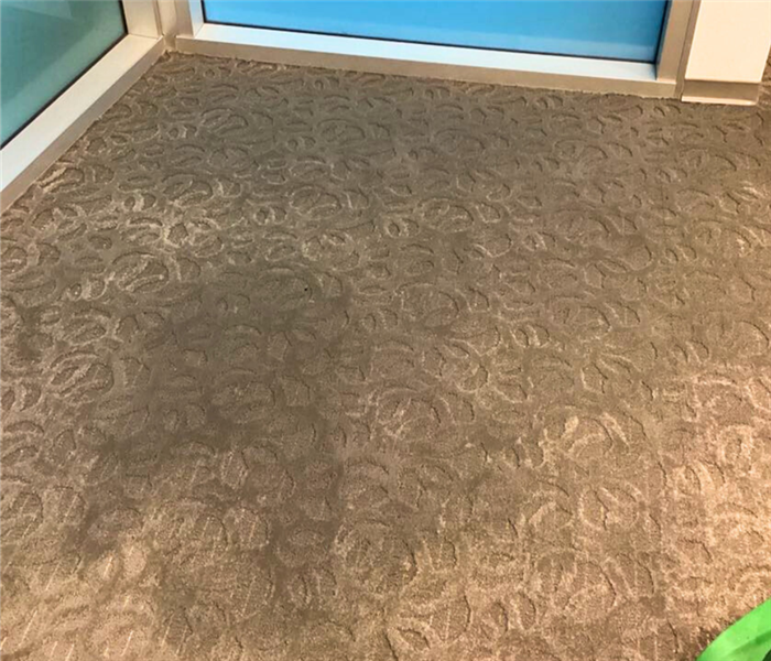 office carpet affected of water damage from rain