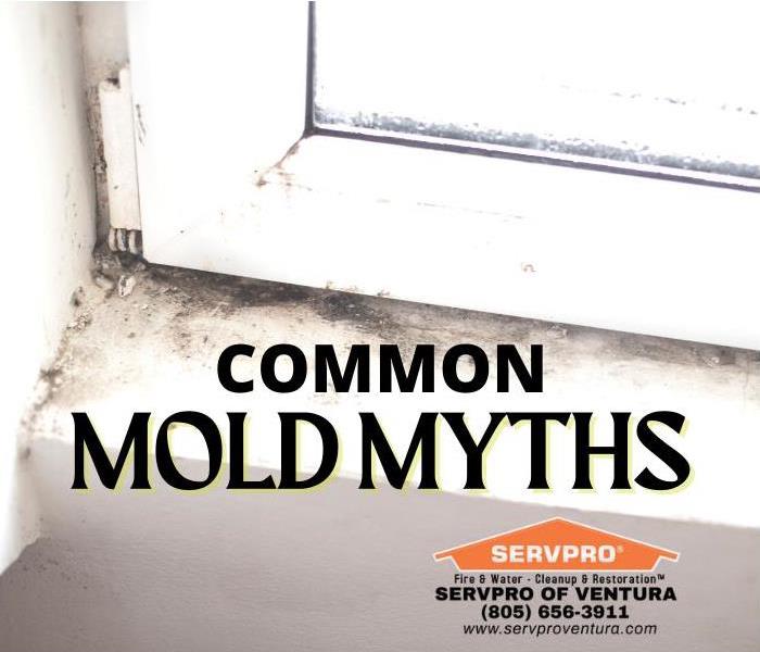 Common Mold Myths