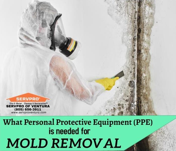 WHAT PERSONAL PROTECTIVE EQUIPMENT IS NEEDED FOR MOLD REMOVAL?