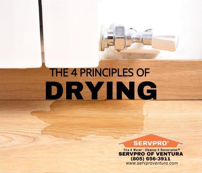 Principle of Drying Water Damage Ventura, California