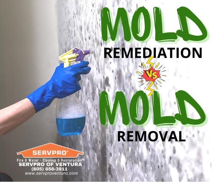 Mold Remediation vs Mold Removal Services Ventura, California