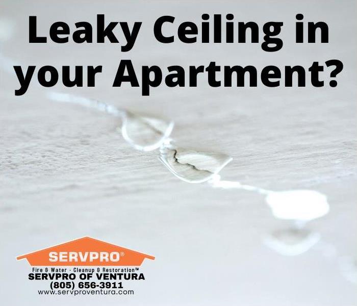 Leaky Ceiling in Apartment Ventura