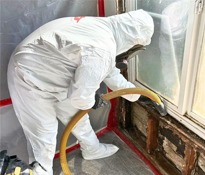 Mold damage from Simi valley home