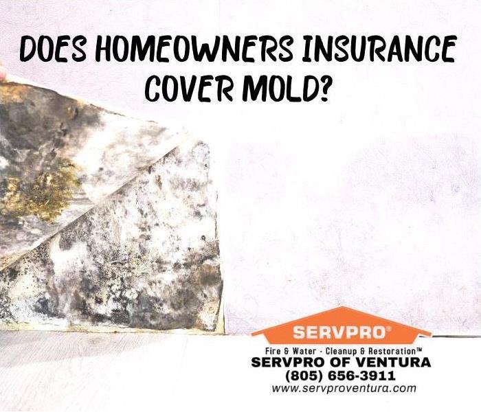 Mold Homeowners Insurance Ventura, California